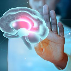 NEUROPEDAGOGÍA Y DIDÁCTICA APLICADA